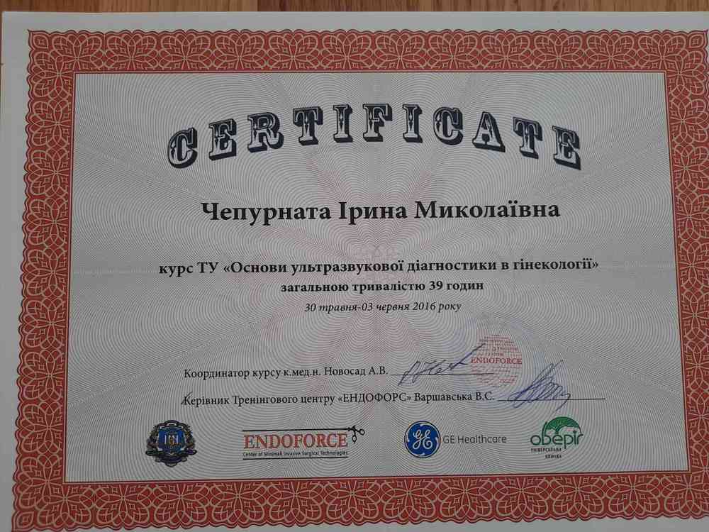 Сертификат Чепурната 16.jpg