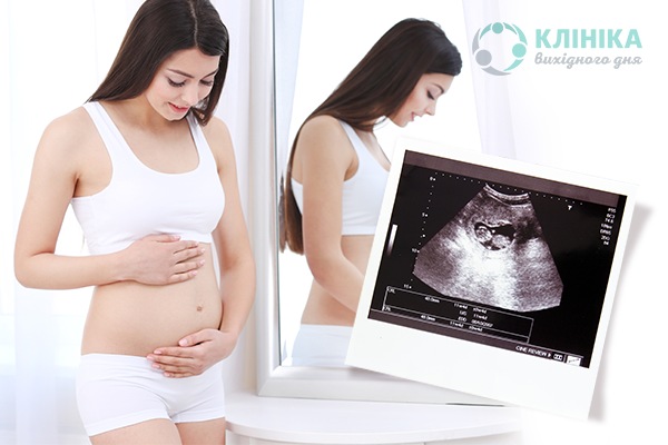 Перший скринінг під час вагітності